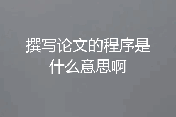 撰写论文的程序是什么意思啊