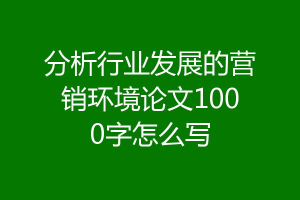 分析行业发展的营销环境论文1000字怎么写