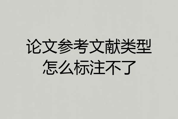 论文参考文献类型怎么标注不了