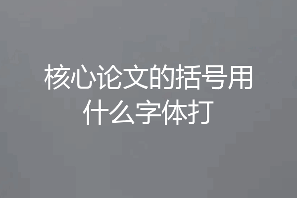 核心论文的括号用什么字体打