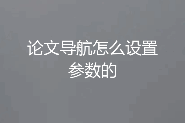 论文导航怎么设置参数的