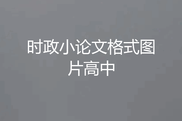 时政小论文格式图片高中