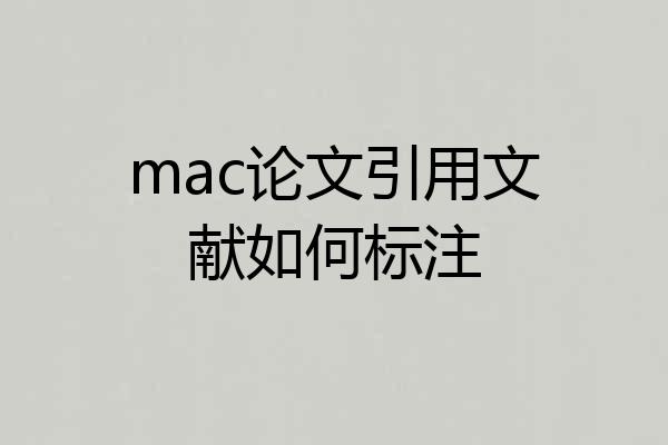 mac论文引用文献如何标注