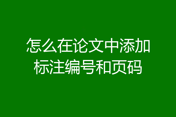 怎么在论文中添加标注编号和页码