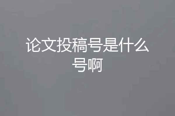 论文投稿号是什么号啊