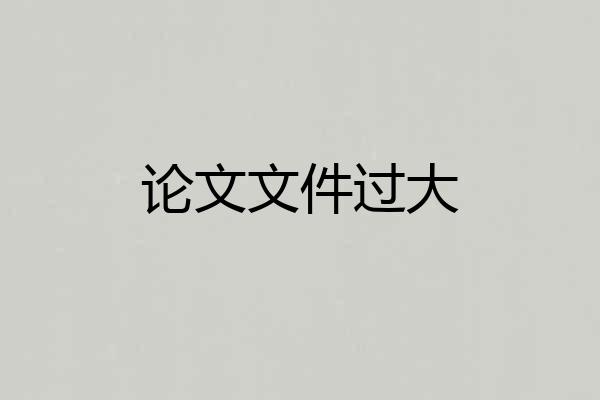 论文文件过大