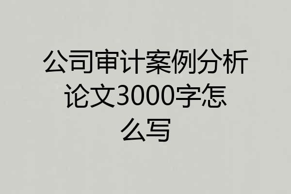 公司审计案例分析论文3000字怎么写