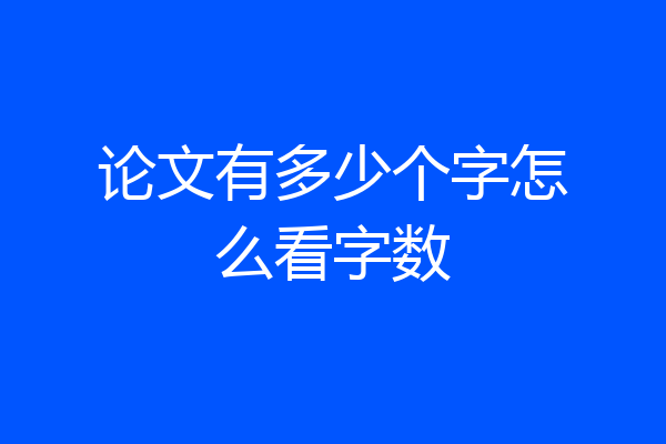 论文有多少个字怎么看字数
