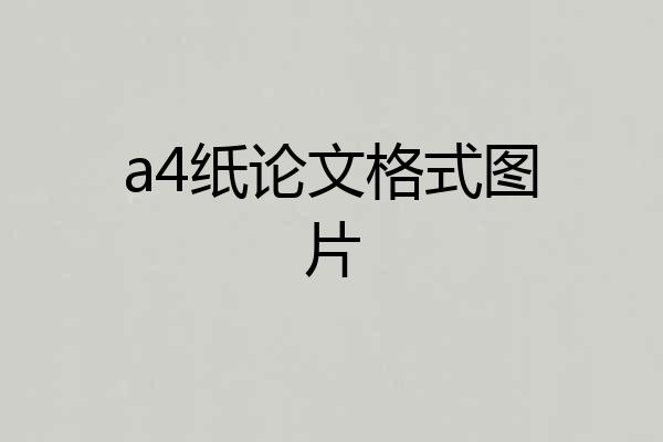 a4纸论文格式图片