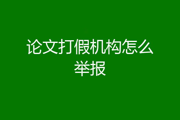 论文打假机构怎么举报