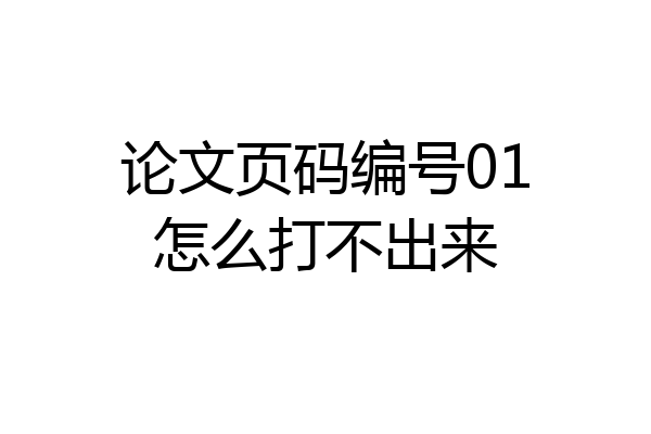 论文页码编号01怎么打不出来