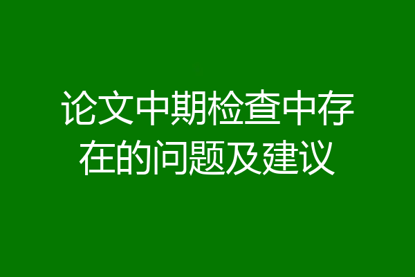 论文中期检查中存在的问题及建议