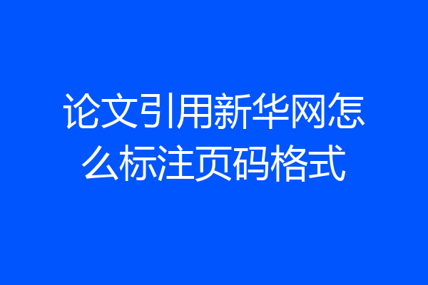 论文引用新华网怎么标注页码格式