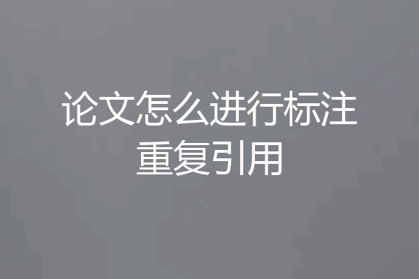 论文怎么进行标注重复引用