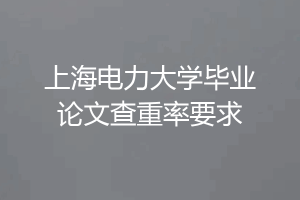 上海电力大学毕业论文查重率要求