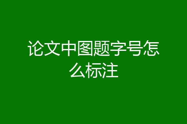 论文中图题字号怎么标注