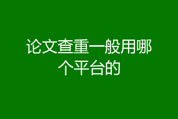 论文查重一般用哪个平台的