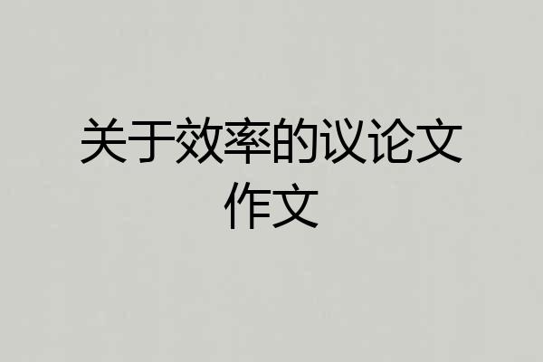 关于效率的议论文作文