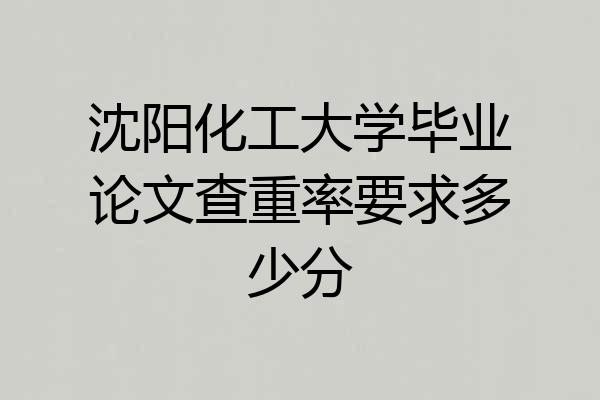 沈阳化工大学毕业论文查重率要求多少分