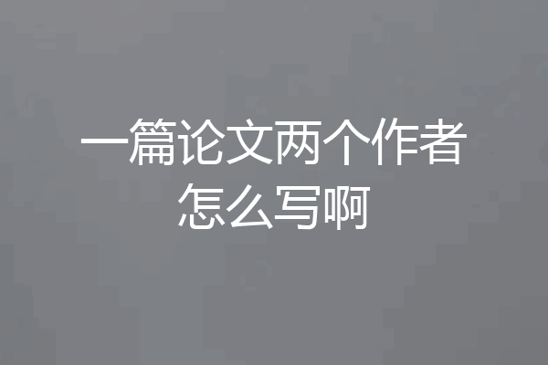 一篇论文两个作者怎么写啊
