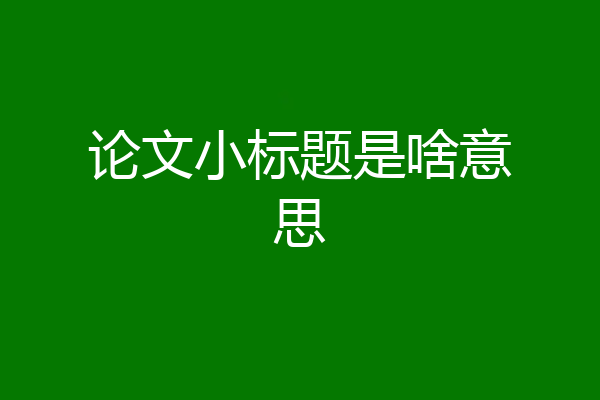 论文小标题是啥意思