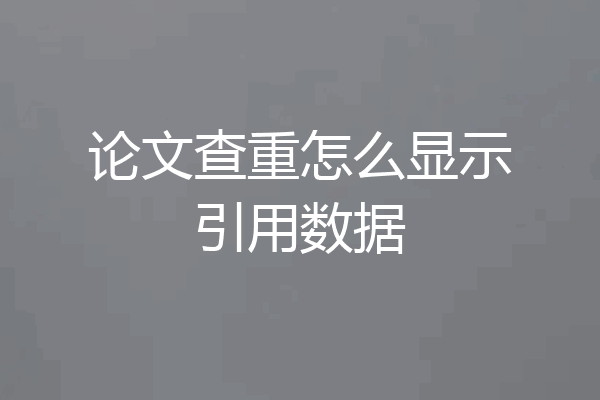 论文查重怎么显示引用数据