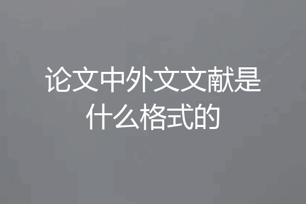论文中外文文献是什么格式的