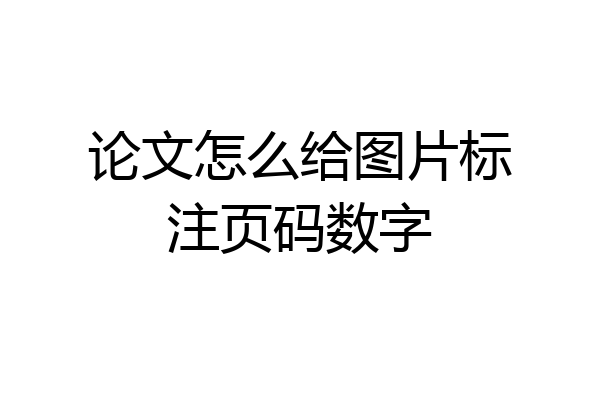 论文怎么给图片标注页码数字