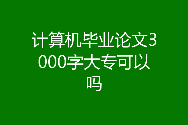 计算机毕业论文3000字大专可以吗