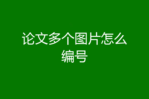 论文多个图片怎么编号