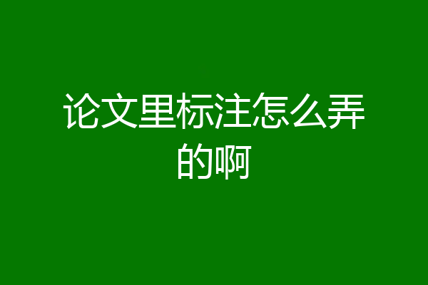 论文里标注怎么弄的啊