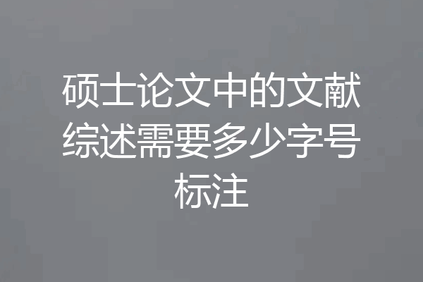硕士论文中的文献综述需要多少字号标注