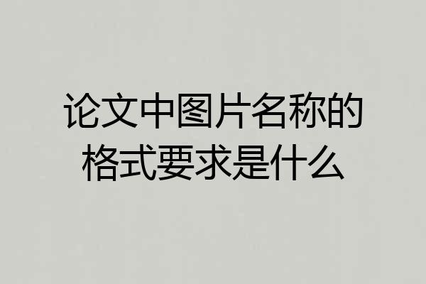 论文中图片名称的格式要求是什么