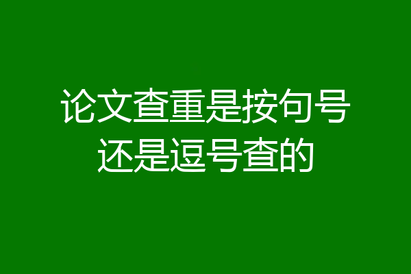 论文查重是按句号还是逗号查的