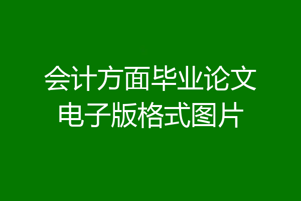会计方面毕业论文电子版格式图片