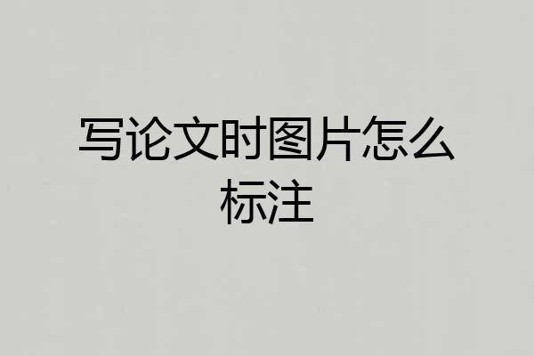写论文时图片怎么标注