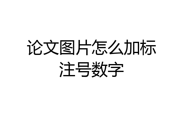论文图片怎么加标注号数字