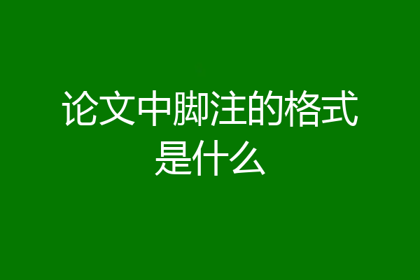 论文中脚注的格式是什么