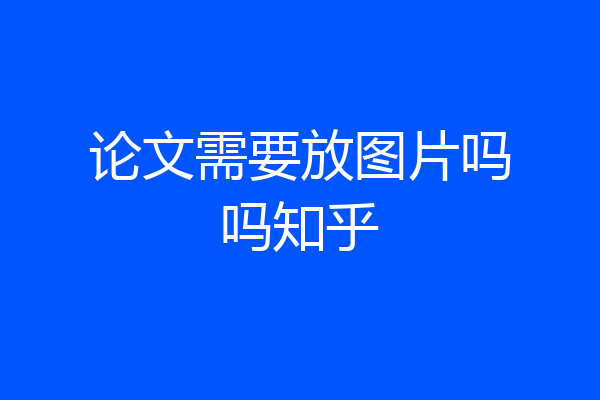 论文需要放图片吗吗知乎
