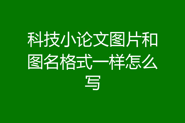 科技小论文图片和图名格式一样怎么写