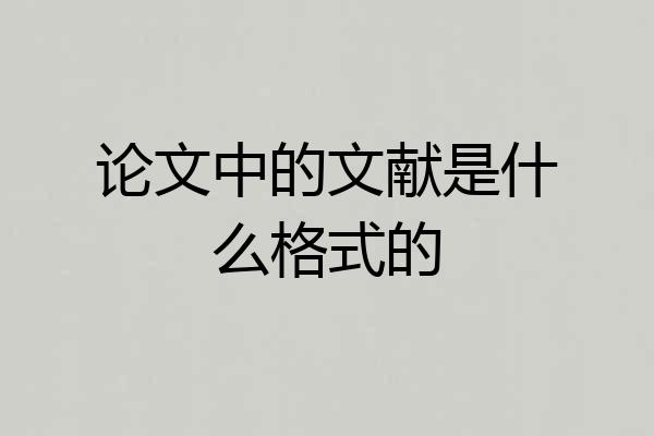 论文中的文献是什么格式的