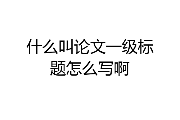 什么叫论文一级标题怎么写啊