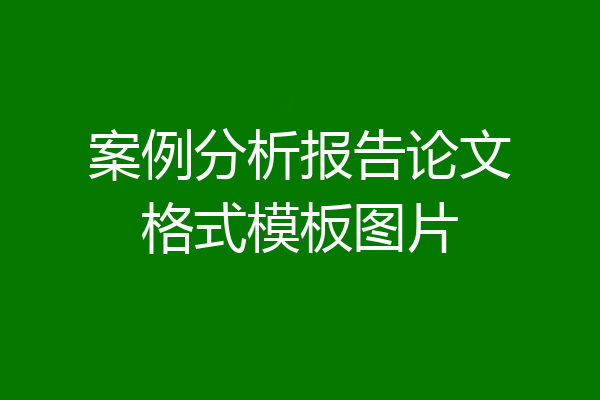 案例分析报告论文格式模板图片