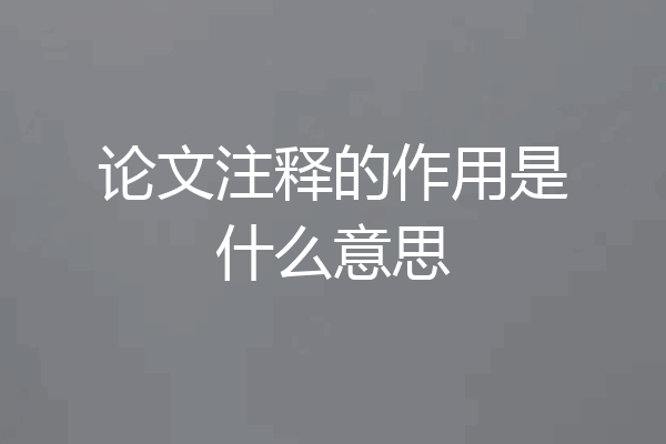 论文注释的作用是什么意思