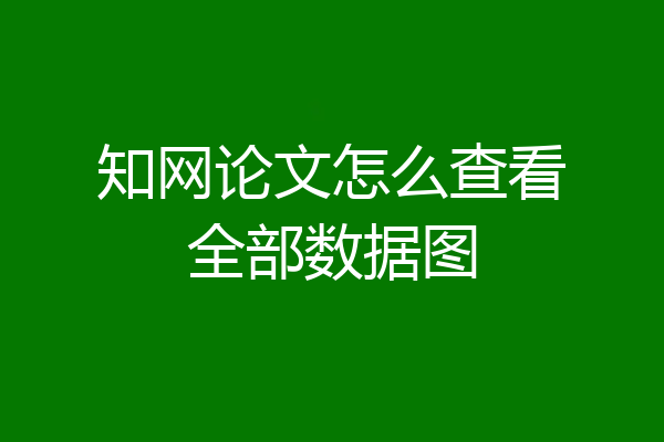 知网论文怎么查看全部数据图