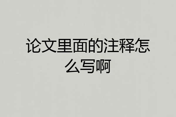 论文里面的注释怎么写啊