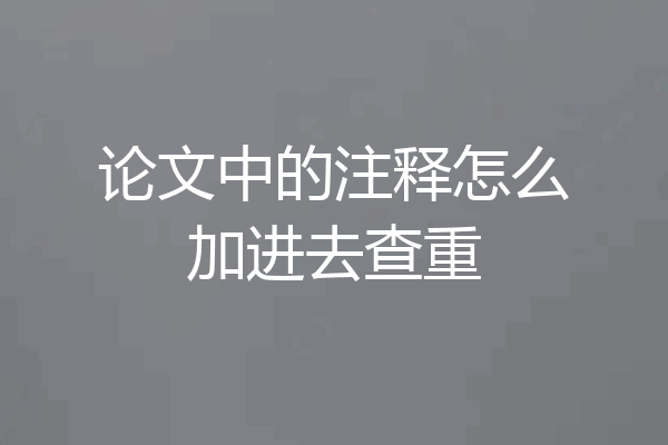 论文中的注释怎么加进去查重