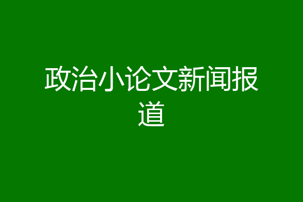 政治小论文新闻报道