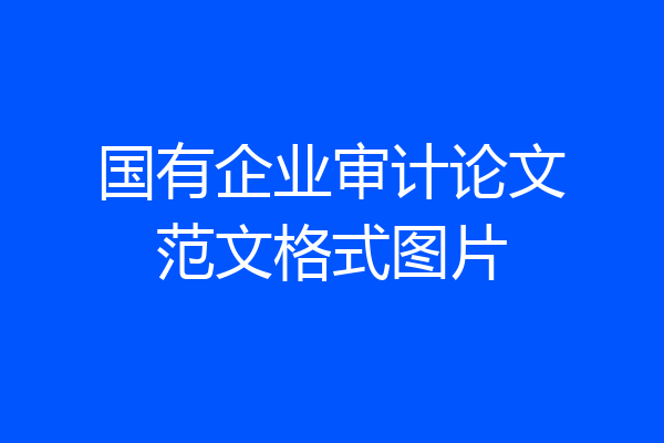国有企业审计论文范文格式图片