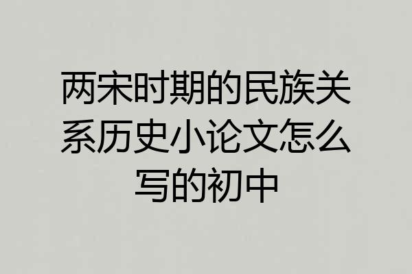 两宋时期的民族关系历史小论文怎么写的初中